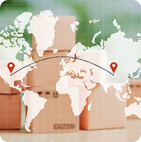 Global Delivery, Local Support